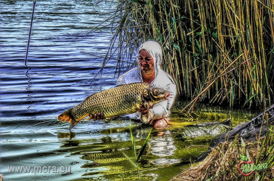 MeetCarp Romanian Awards 2013 (2) - 1016954hdrmode2.jpg